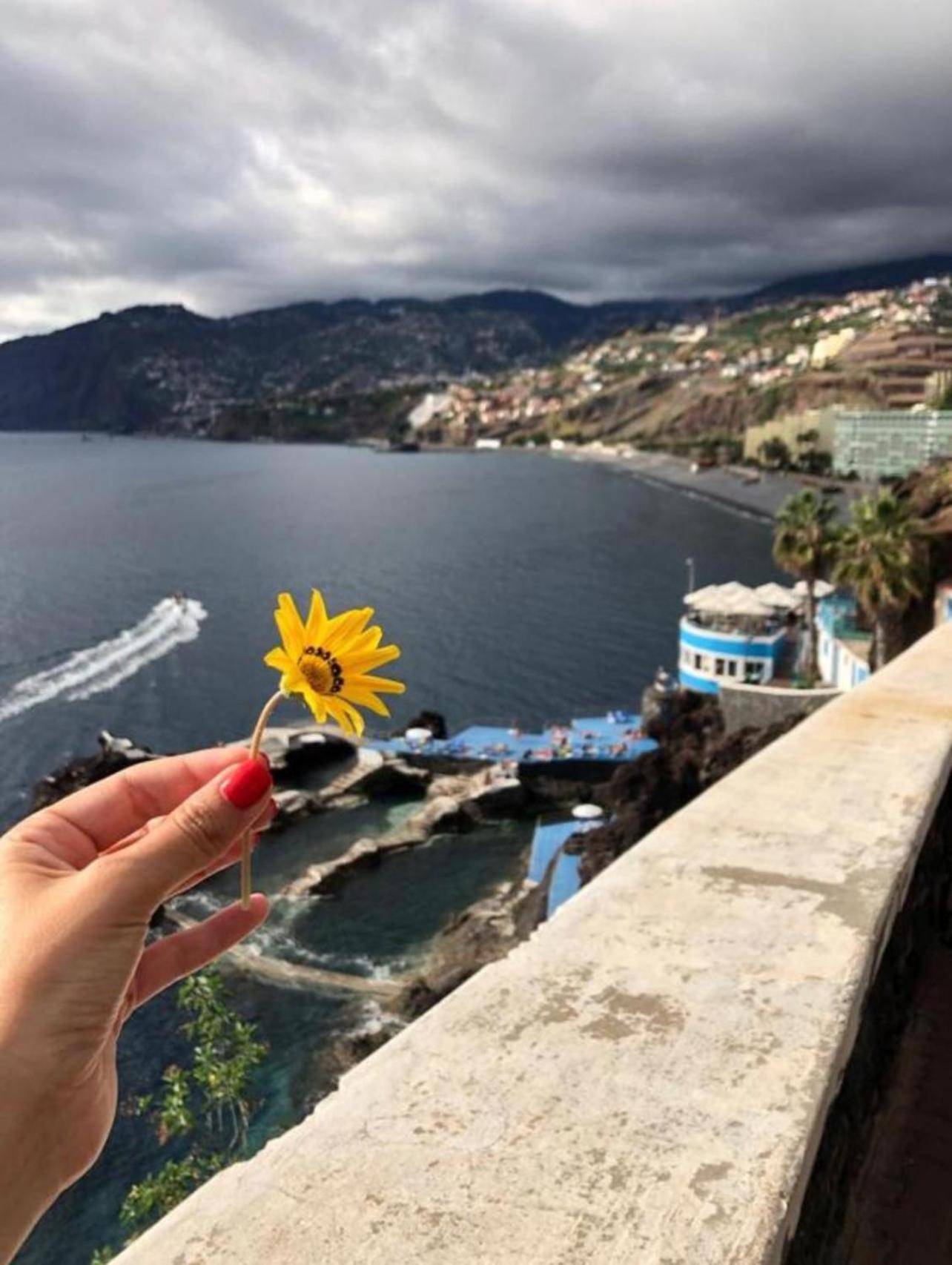 Madeira Residence Apt. 80 Funchal  Zewnętrze zdjęcie